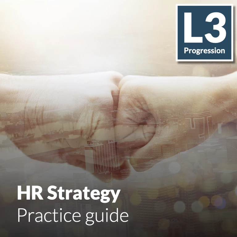 HR Strategy - Practice guide (L3 - Emerging)