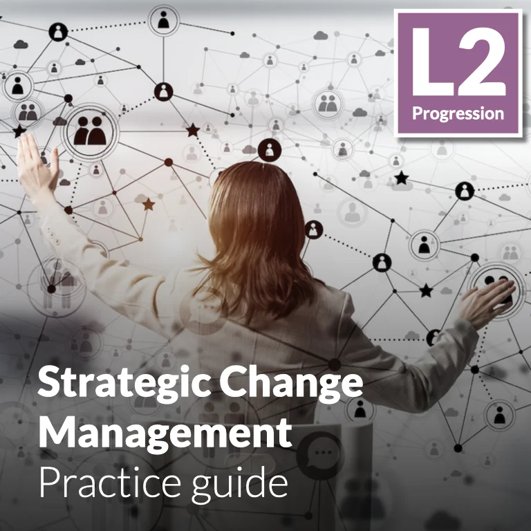 Strategic Change Management - Practice guide (L2 - Advanced)