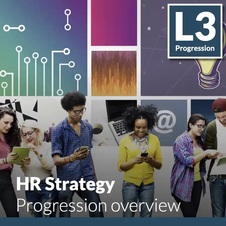 HR Strategy - Progression overview (L3 - Emerging)