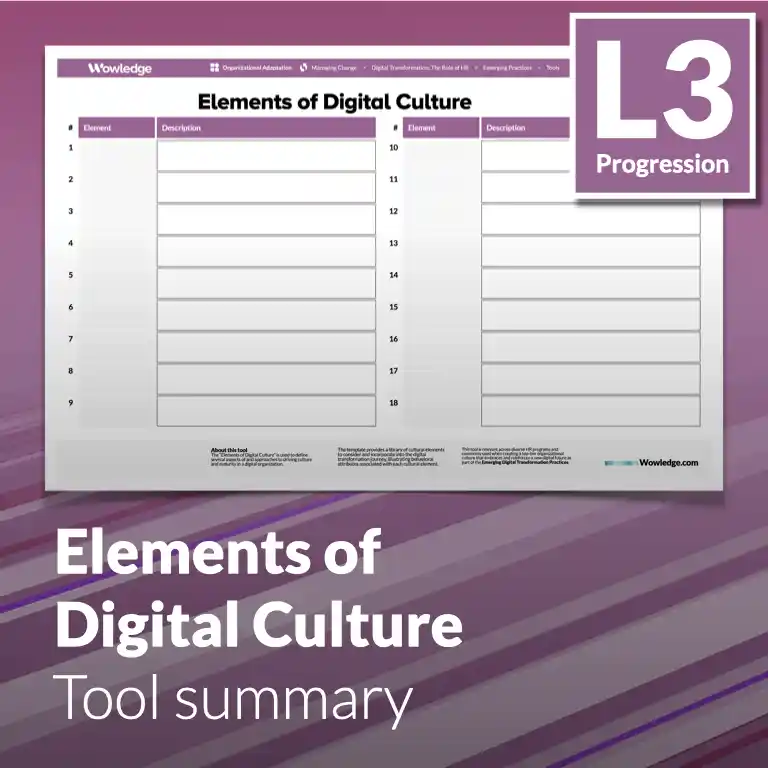 Digital Transformation: The Role of HR - Tool summary (L3 - Emerging)