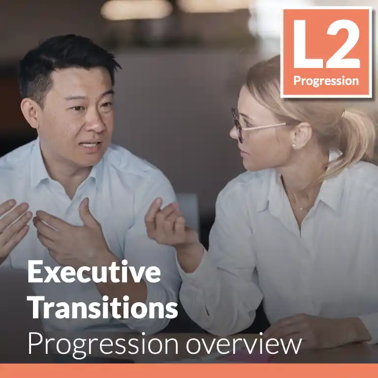 Executive Transitions - Progression overview (L2 - Advanced)