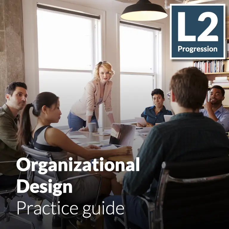 Organizational Design - Practice guide (L2 - Advanced)