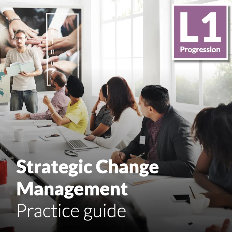 Strategic Change Management - Practice guide (L1 - Core)