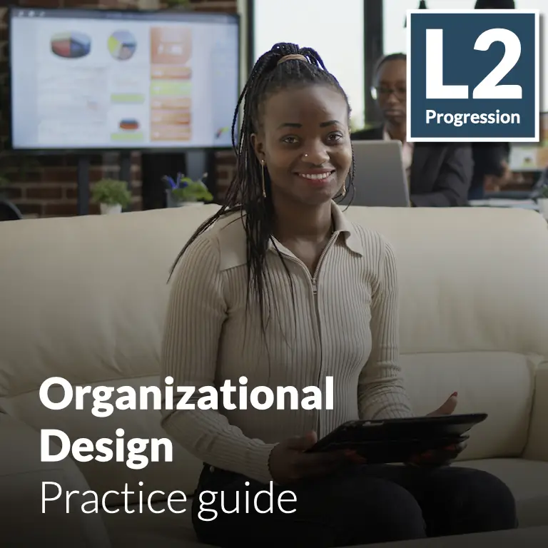 Organizational Design - Practice guide (L2 - Advanced)