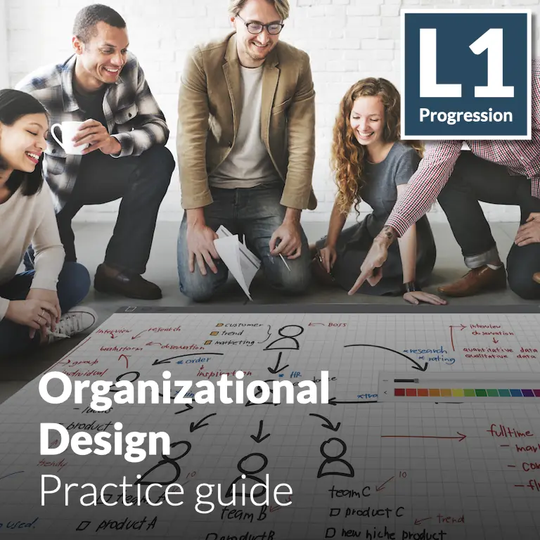 Organizational Design - Practice guide (L1 - Core)