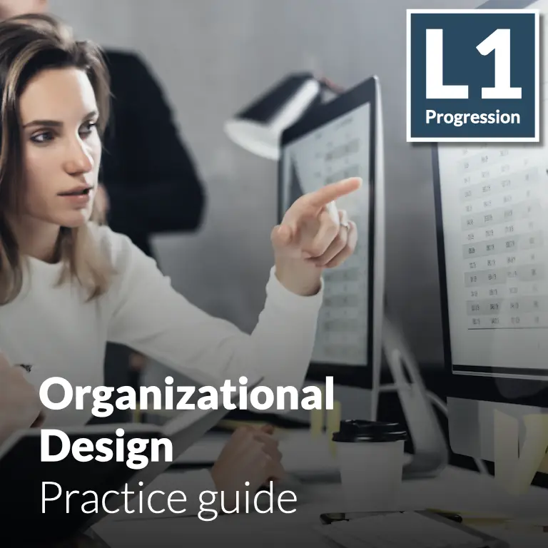 Organizational Design - Practice guide (L1 - Core)