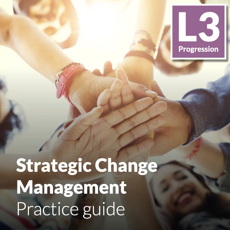 Strategic Change Management - Practice guide (L3 - Emerging)