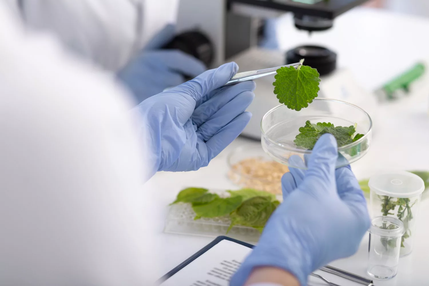 A Booming Green Industry Means New Careers – Find Yours Now