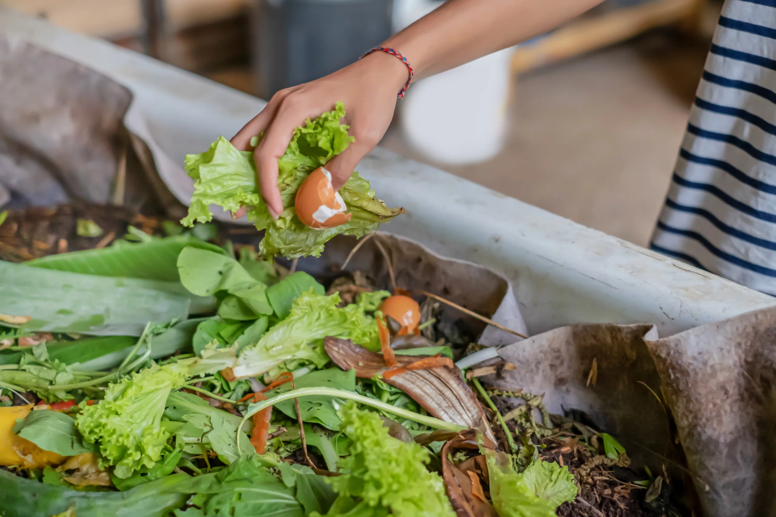 Composting, It’s Easier Than You Think!