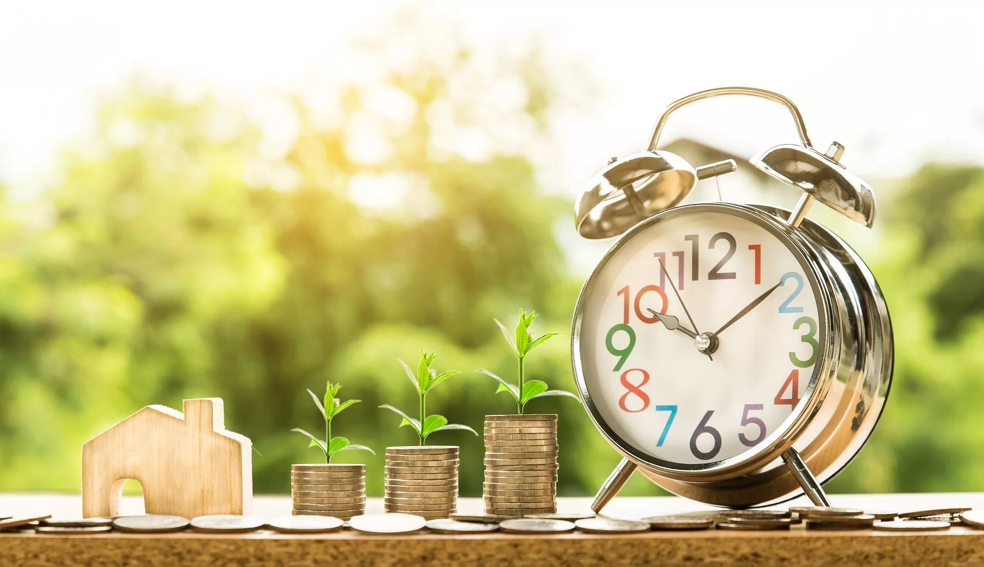 What You Need to Know to Become a Savvy Investor and Grow Your Wealth