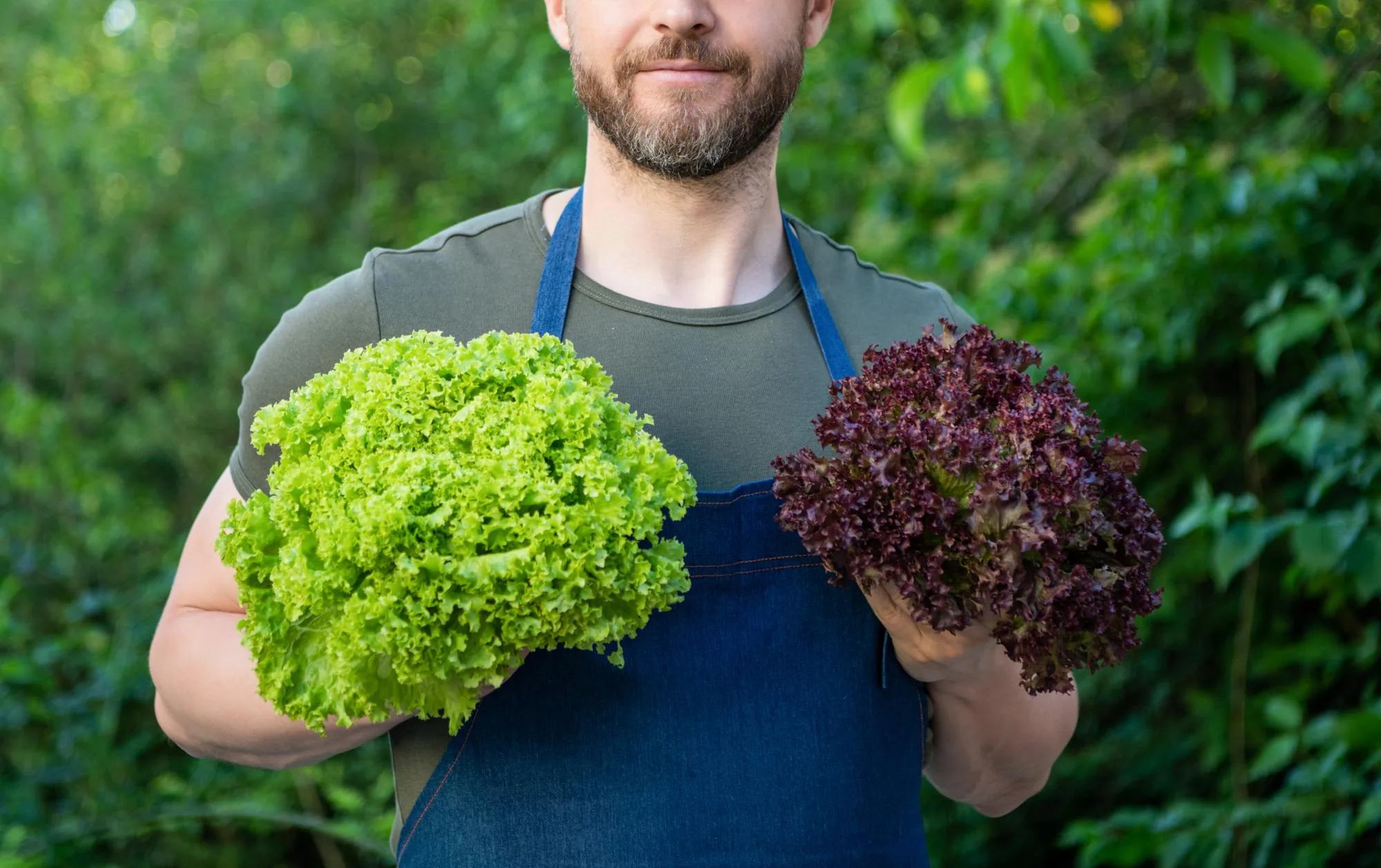 Your Guide to Growing Your Own Produce at Home