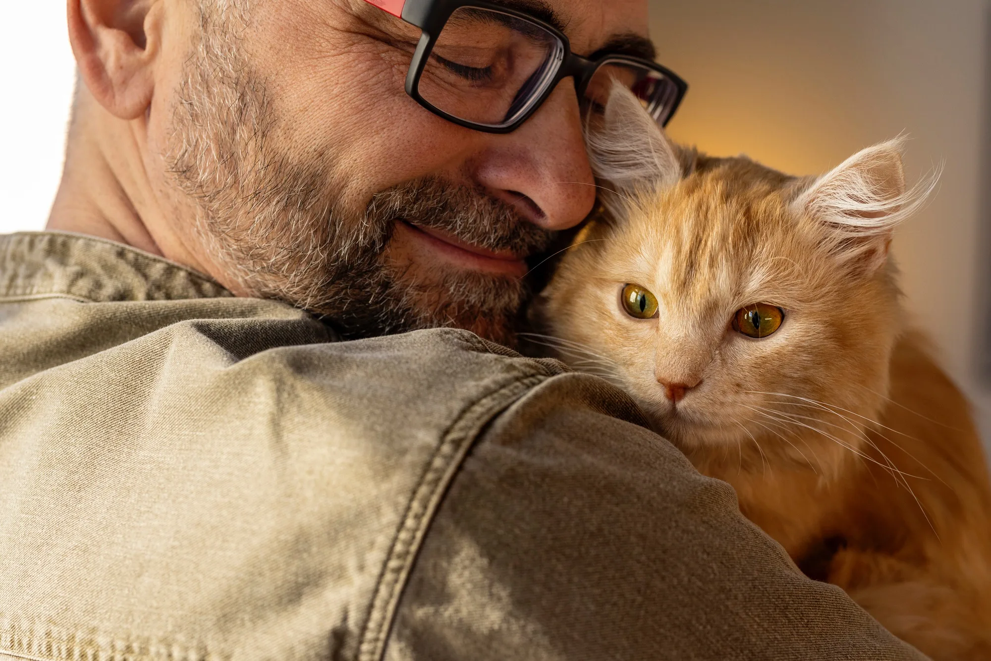 Purr-fect Companions: Everything You Need to Know About Cat Adoption