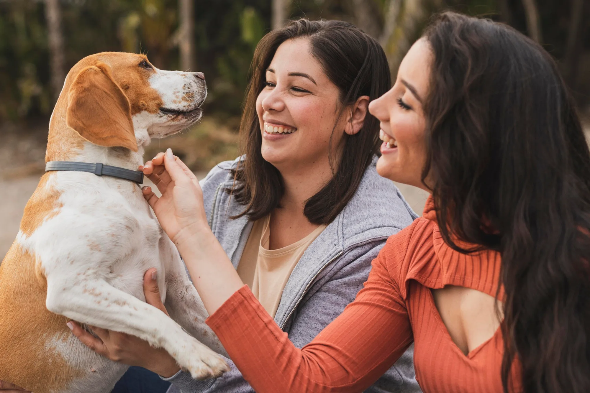 New Best Friends: Your Guide to Adopting a Dog