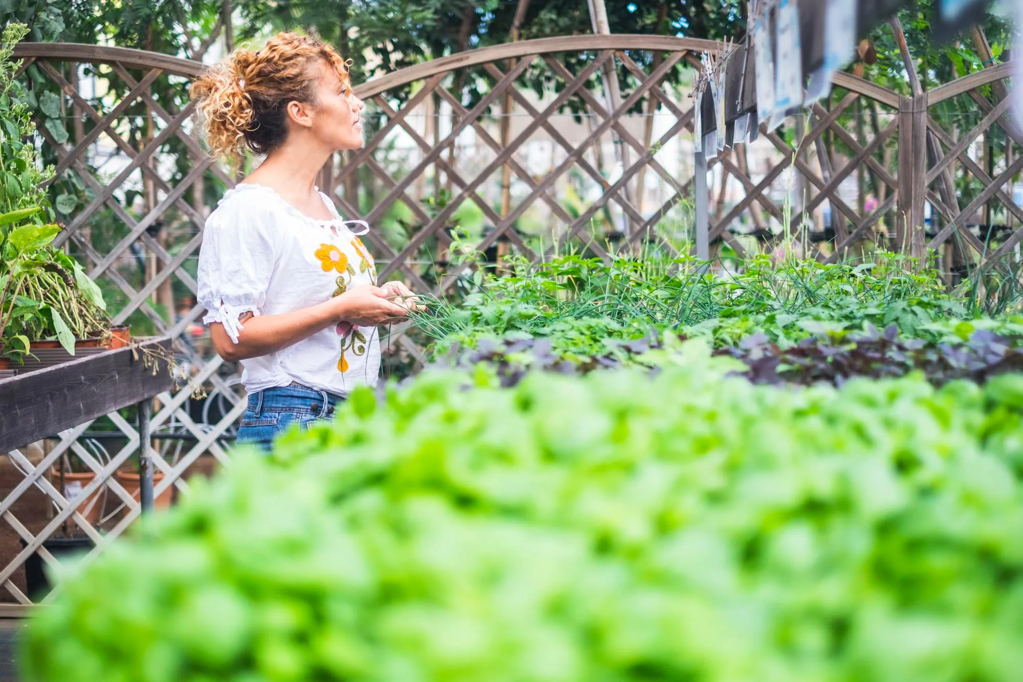 Cultivating Green Joy: A Step-by-Step Guide on How to Start a Garden