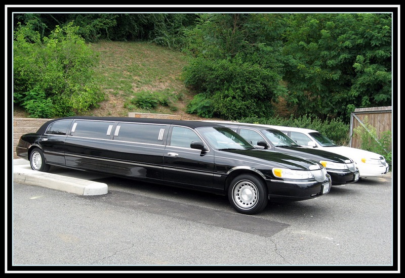 Customizing Your Limo Fleet – 5 Advantages For Business