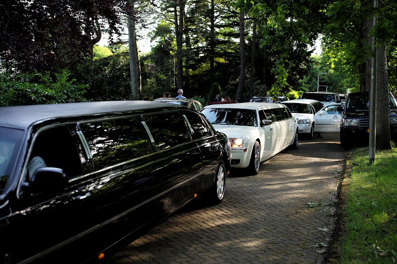 5 Limousine Services Other Than Transfers