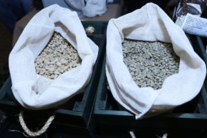 Productores de café de la Sierra Negra logran venta histórica de 25 toneladas