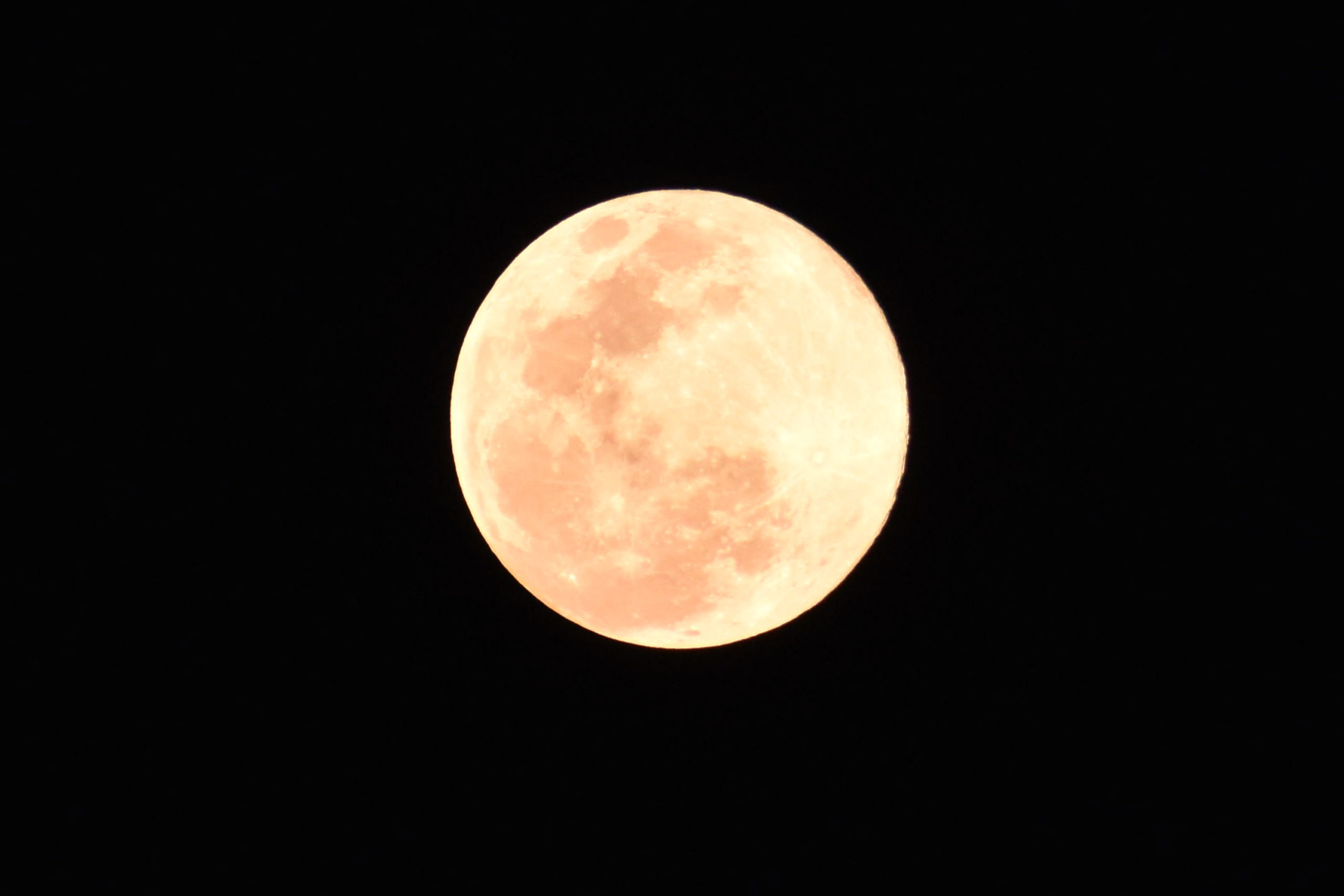 ¡Gran espectáculo ! Superluna rosa más cerca de la Tierra