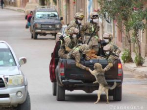 Soldados rescatan perritos sin hogar durante cuarentena; son virales