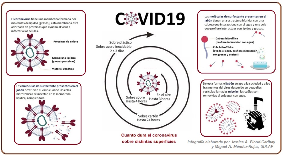 La investigación científica y la educación como herramienta para combatir a la pandemia de COVID-19 en México y el mundo