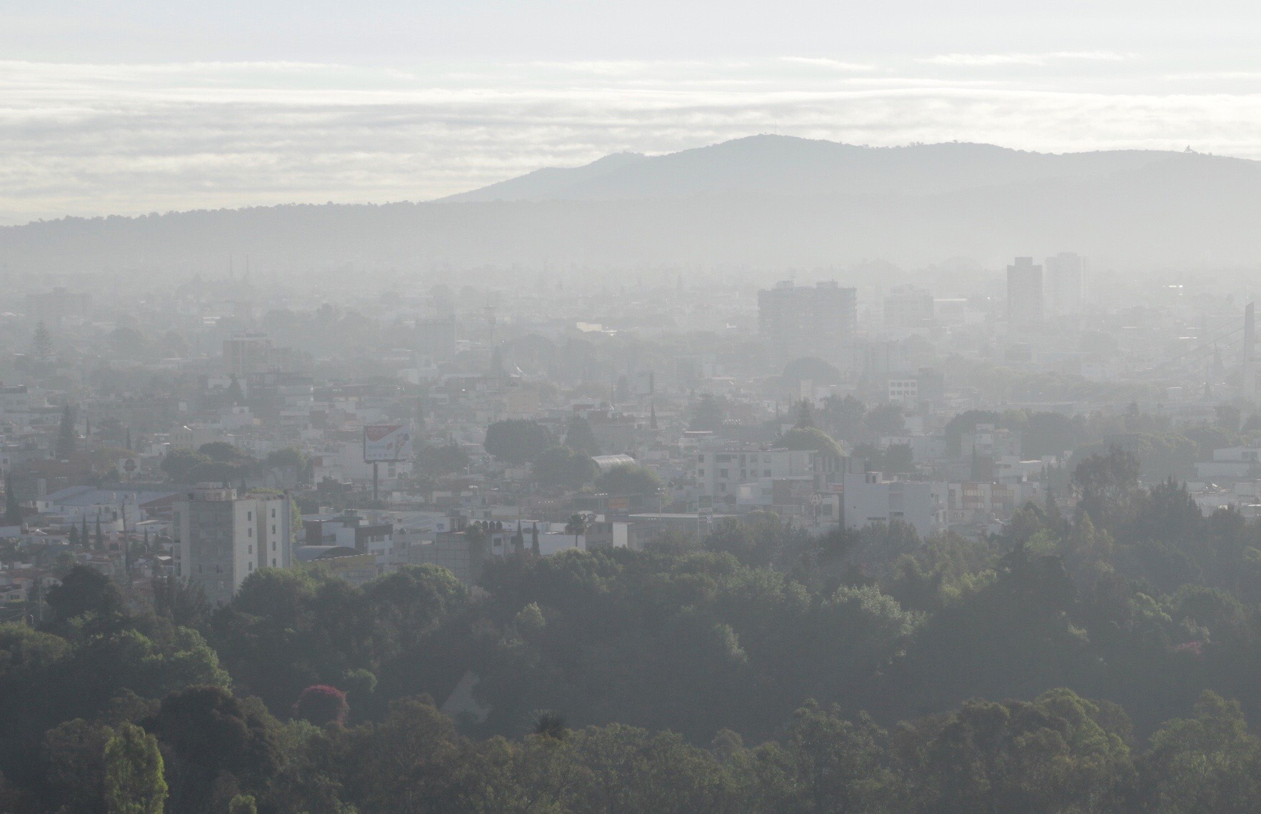 Puebla con mala calidad de aire: Ariza