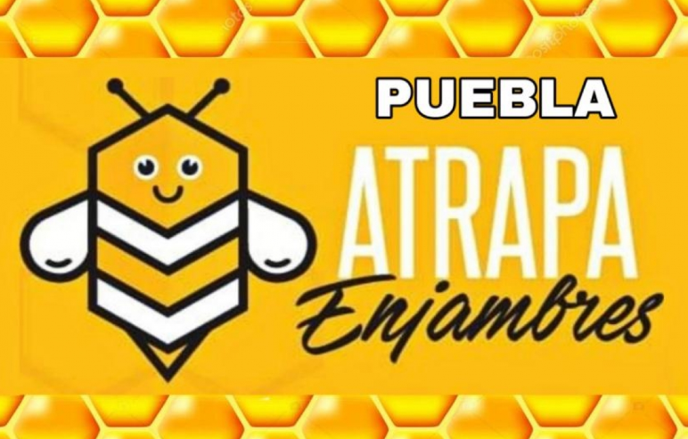 #FuerzaEnLaContingencia: Atrapa Enjambres Puebla