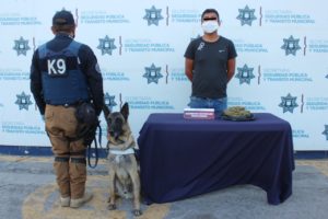 Detienen a un hombre con medio kilogramo de marihuana en la CAPU