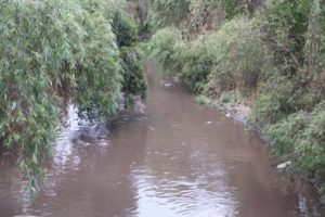 Busca aliados el Tec de Monterrey para rescatar al Río Atoyac