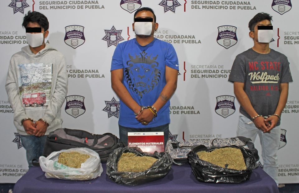 Detienen a cuatro individuos en posesión de más de tres kilogramos de marihuana