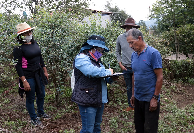 Impulsa SDR a productoras y productores de blueberry para obtener certificación