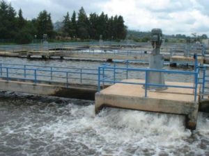 “Se estima que 780 mil personas mueren al año por causa de un saneamiento de agua inadecuado”: especialista