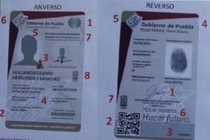 Expide Gobierno Constancia Digital para reposición y duplicado de licencias de conducir