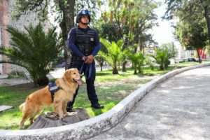 En Puebla, más de 570 detenidos por delitos contra la salud: SSC