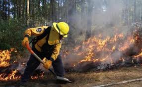 Lugar 7 a nivel nacional Puebla en incendios forestales