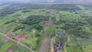 Descubren la estructura monumental maya más grande que se haya conocido