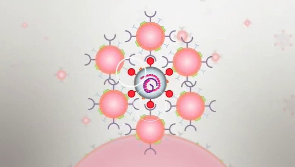 Crean ‘nanoesponjas’ para neutralizar el virus del COVID-19 y no pueda reproducirse