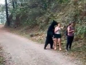 Tras selfie con oso, Parque Chipinque tomará medidas