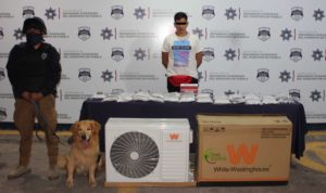 Aseguró unidad canina de la Policía Municipal cinco kilogramos de marihuana; hay una persona detenida