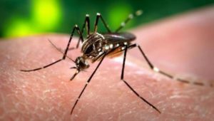 Puebla con 121 casos de dengue; 14 clasificados con signo de alarma