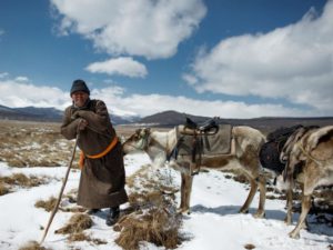 Alertan del brote de peste bubónica en Mongolia por el consumo de carne de marmota