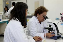 Investigadores BUAP buscan mejorar técnicas de reproducción asistida