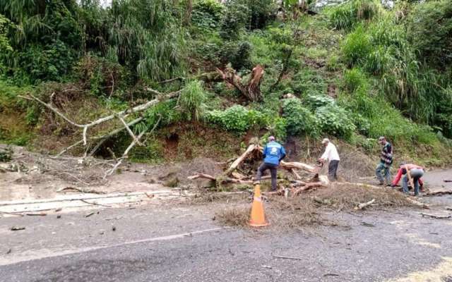 Derrumbes en Veracruz dejan tres muertos, uno era menor de edad