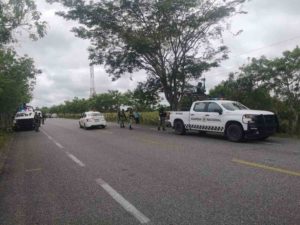 Aseguran 42 tortugas protegidas en carretera de Tabasco