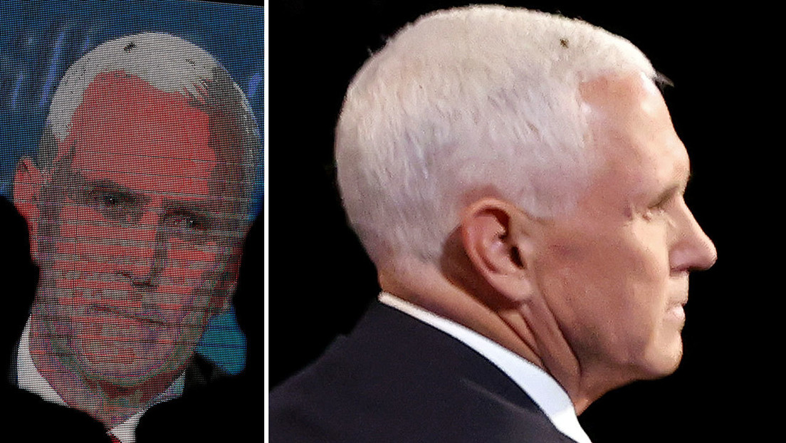 Una mosca en la cabeza de Pence se roba el ‘show’ durante el debate