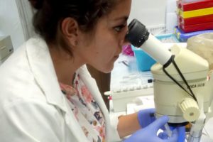 Investigadora BUAP estudia alteraciones en células productoras de insulina para evitar el desarrollo de diabetes mellitus tipo 2