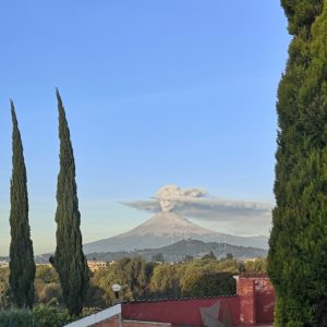 ¿Y tú también ves una catrina?