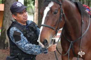 A caballo, otra forma de patrullar por parte de la Policía Estatal
