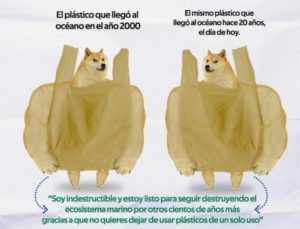 Lanza campaña contra plásticos de un sólo uso