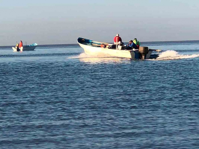 Lluvia de amparos contra prohibiciones en hábitat de vaquita marina