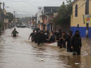 Partido Verde exhorta a Hacienda a destinar recursos extraordinarios para Chiapas, Tabasco y Veracruz